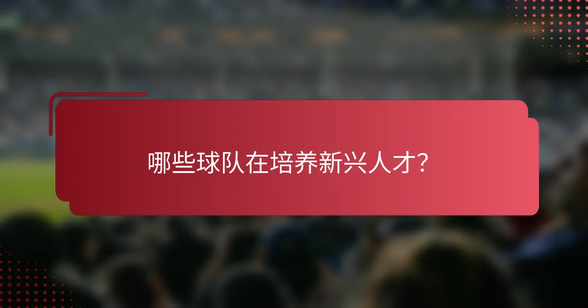 哪些球队在培养新兴人才？