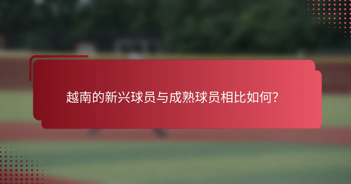 越南的新兴球员与成熟球员相比如何？